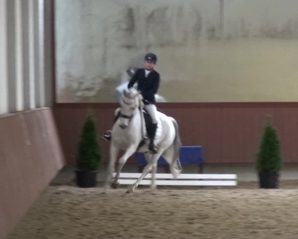 Reitturnier Lembeck 2019