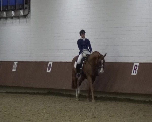 Reitturnier Lembeck 2019