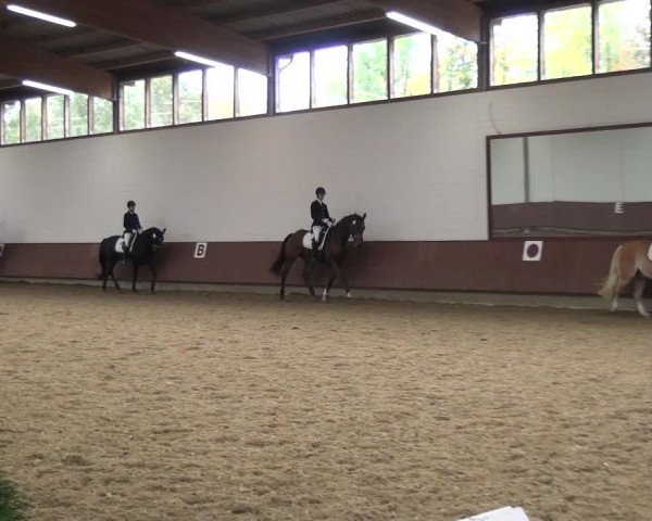 Reitturnier Lembeck 2019