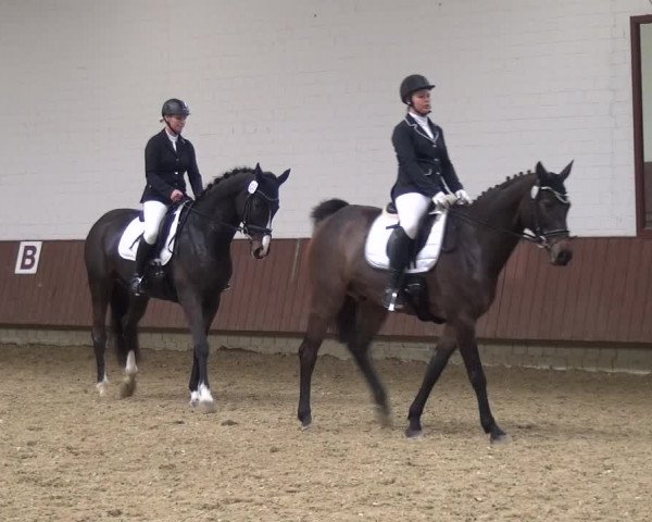 Reitturnier Lembeck 2019