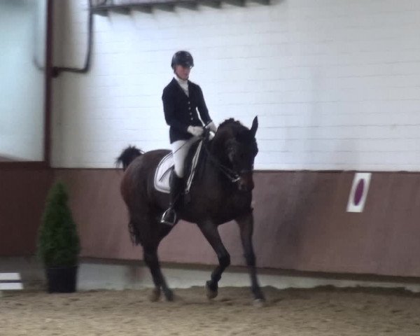 Reitturnier Lembeck 2019