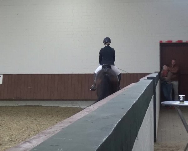 Reitturnier Lembeck 2019
