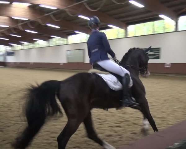 Reitturnier Lembeck 2019