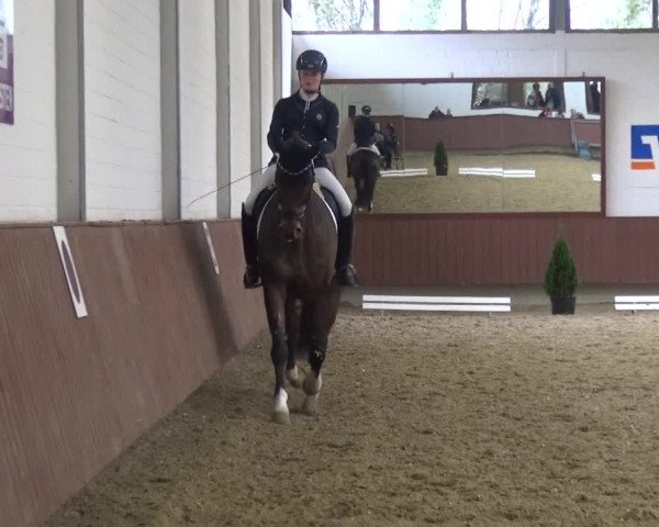 Reitturnier Lembeck 2019