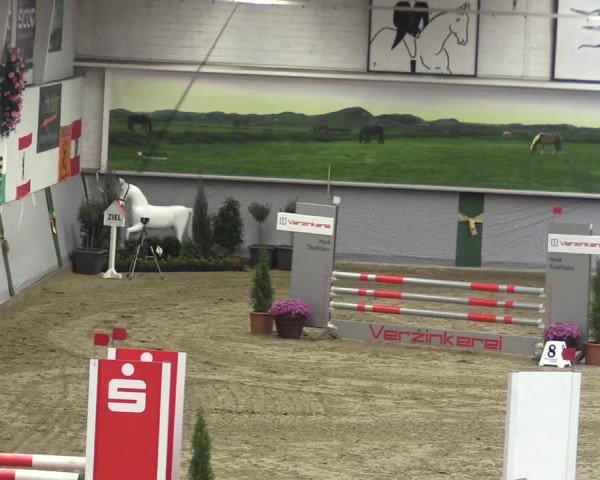 Reitturnier Legden 2019