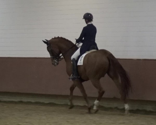 Reitturnier Lembeck 2019