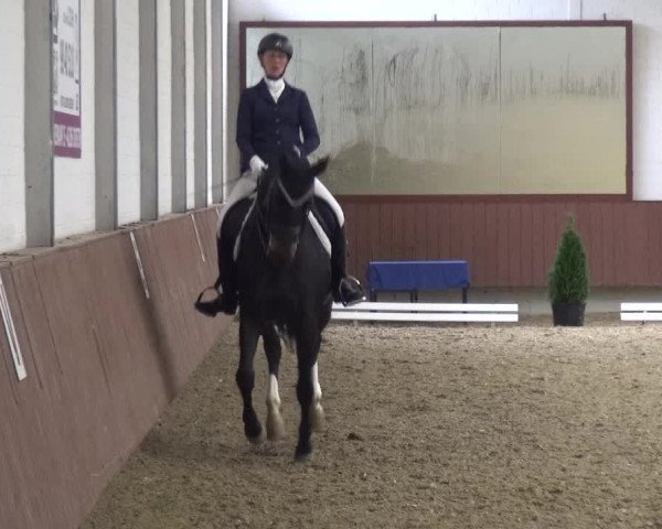 Reitturnier Lembeck 2019