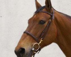 Springpferd Equina S Fair (Belgisches Warmblut, 2004, von Wandor van de Mispelaere D'10)