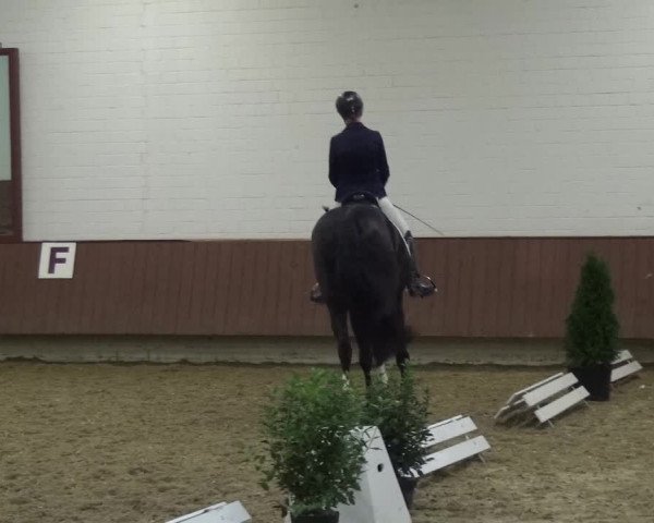 Reitturnier Lembeck 2019