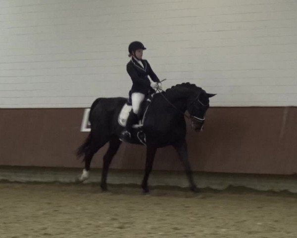 Reitturnier Lembeck 2019