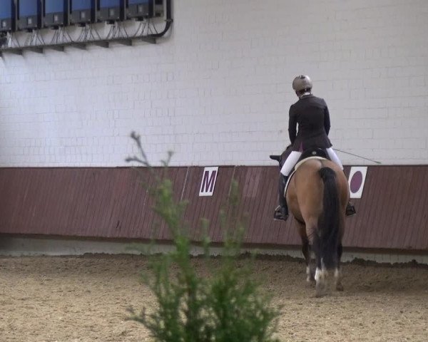 Reitturnier Lembeck 2019