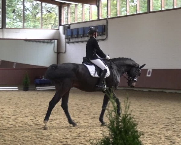 Reitturnier Lembeck 2019