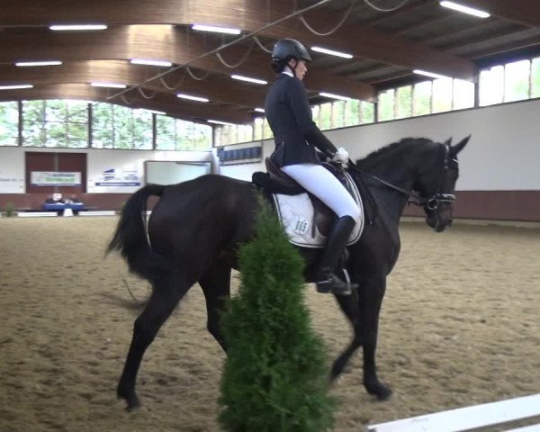 Reitturnier Lembeck 2019
