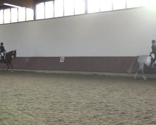 Reitturnier Lembeck 2019
