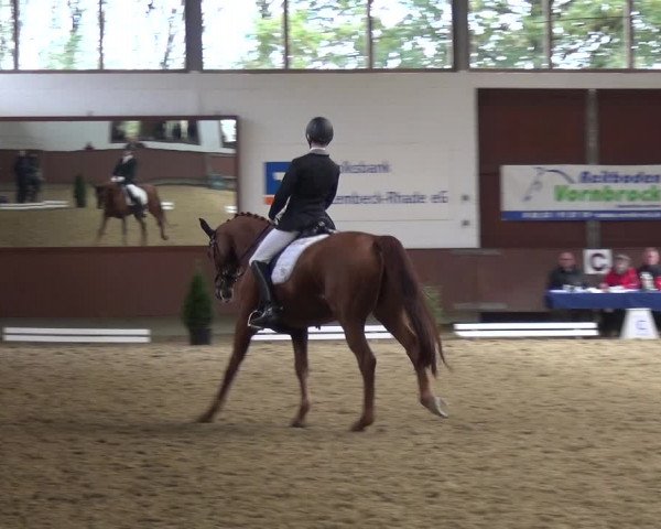 Reitturnier Lembeck 2019