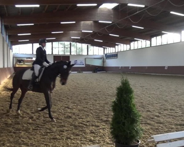Reitturnier Lembeck 2019