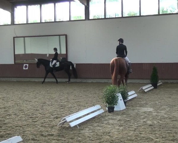 Reitturnier Lembeck 2019