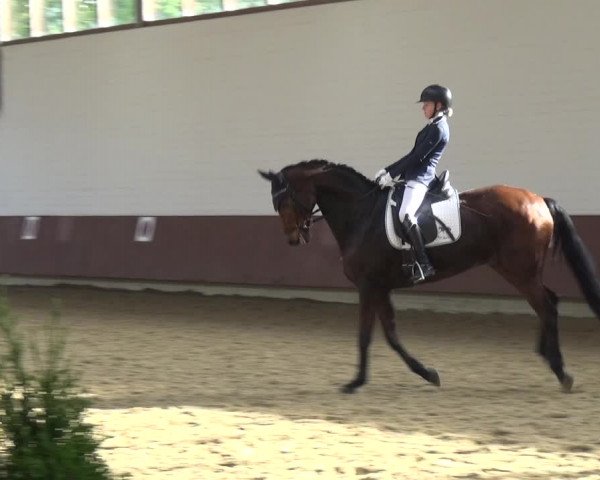 Reitturnier Lembeck 2019