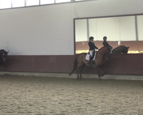 Reitturnier Lembeck 2019