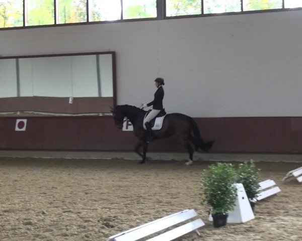 Reitturnier Lembeck 2019