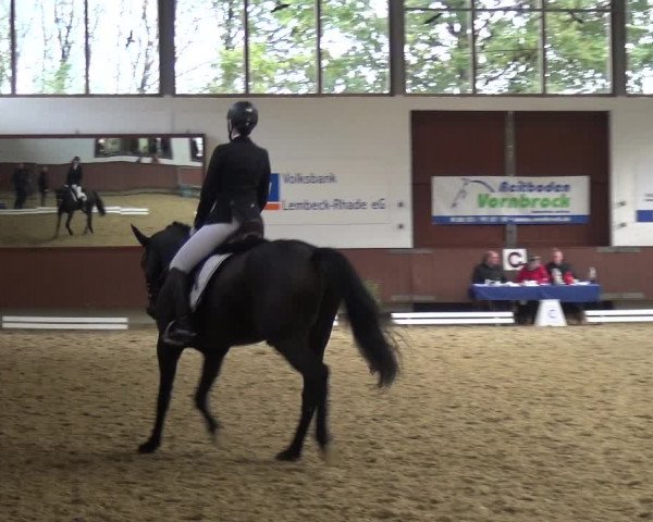 Reitturnier Lembeck 2019