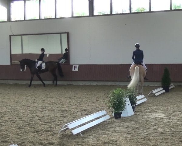 Reitturnier Lembeck 2019