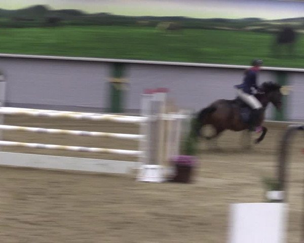 Reitturnier Legden 2019