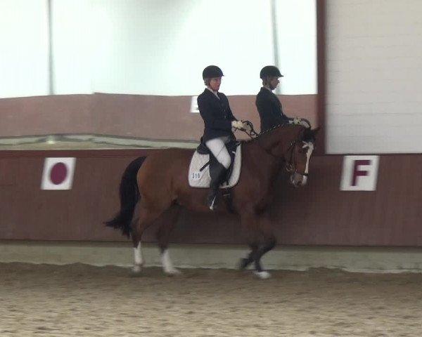 Reitturnier Lembeck 2019