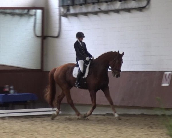 Reitturnier Lembeck 2019
