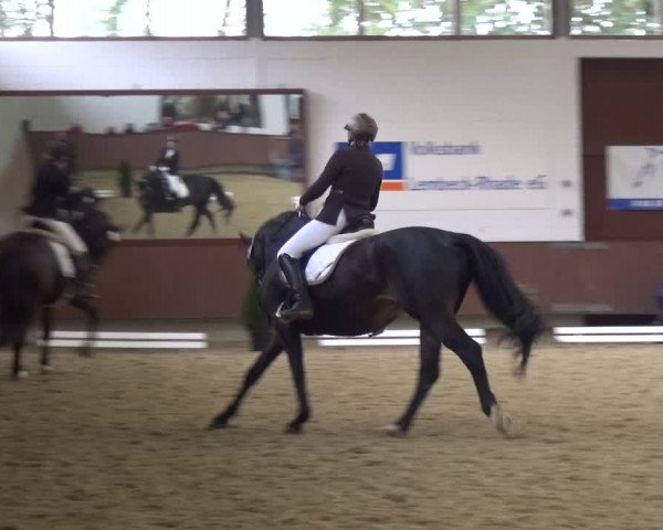 Reitturnier Lembeck 2019