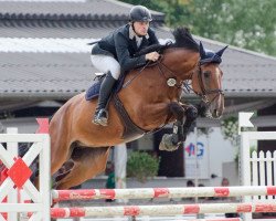 jumper Dorotheental's Lucifer (Holsteiner, 2010, from Lord Z)