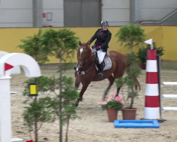 Reitturnier Prussendorf 2019