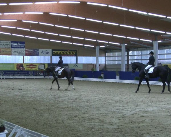 Reitturnier Isterberg 2019