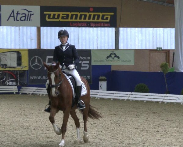 Reitturnier Isterberg 2019