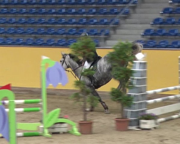 Reitturnier Prussendorf 2019