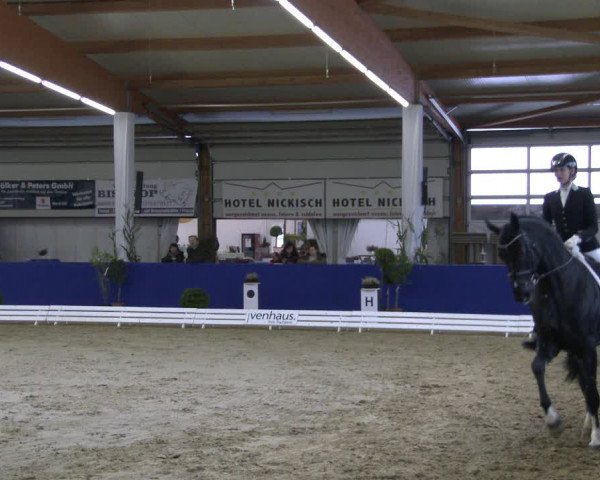 Reitturnier Isterberg 2019
