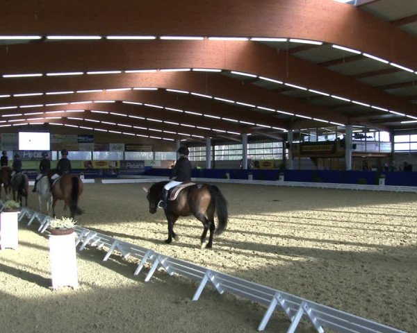 Reitturnier Isterberg 2019