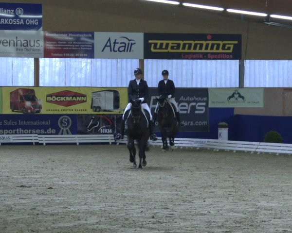 Reitturnier Isterberg 2019