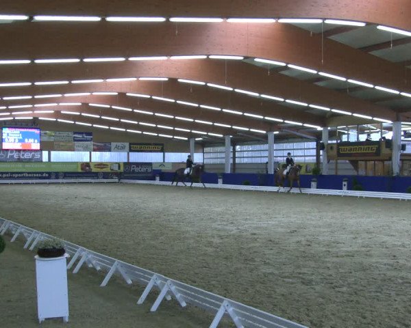 Reitturnier Isterberg 2019