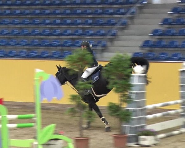 Reitturnier Prussendorf 2019