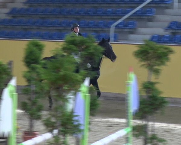 Reitturnier Prussendorf 2019