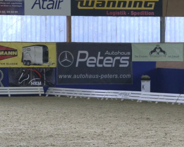 Reitturnier Isterberg 2019