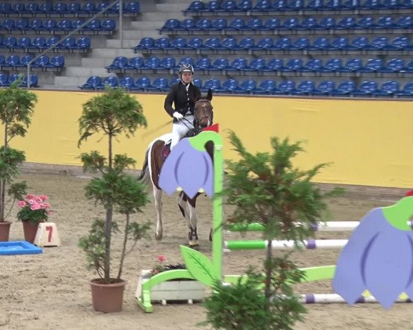 Reitturnier Prussendorf 2019