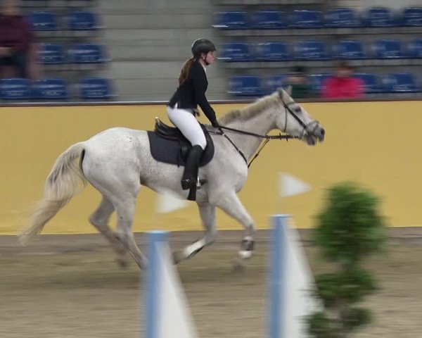 Reitturnier Prussendorf 2019