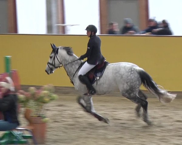 Reitturnier Prussendorf 2019