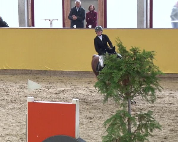 Reitturnier Prussendorf 2019