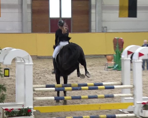Reitturnier Prussendorf 2019