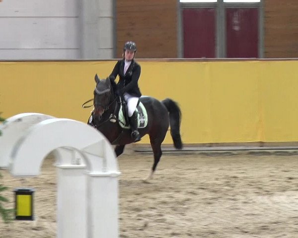 Reitturnier Prussendorf 2019
