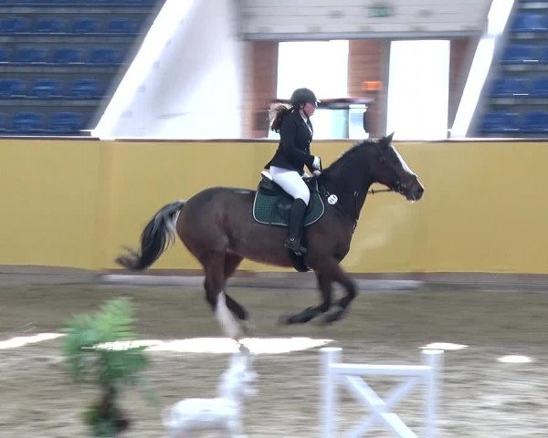 Reitturnier Prussendorf 2019