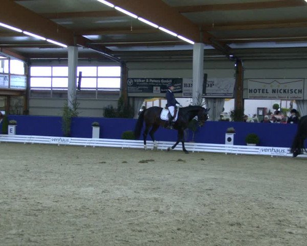 Reitturnier Isterberg 2019